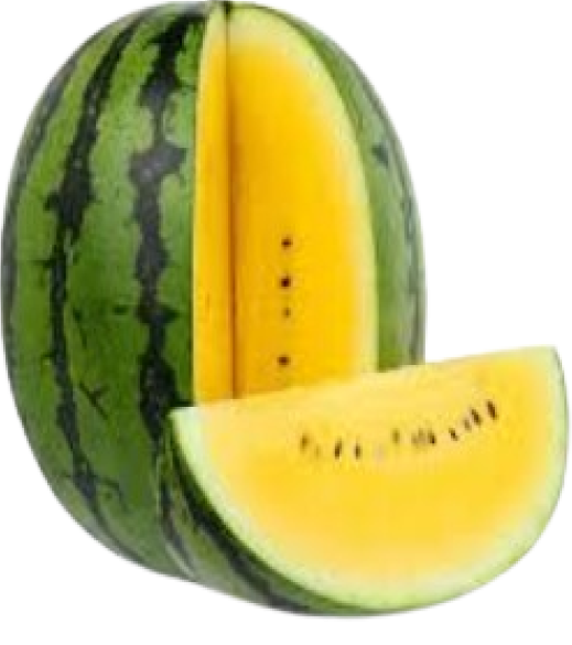 Watermelon - Yellow 6ct Case