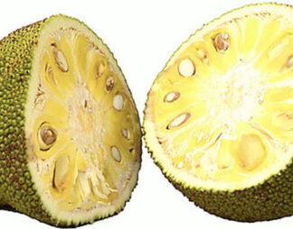 Jackfruit 40lb
