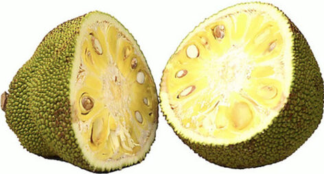 Jackfruit 1lb