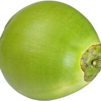 Coconut - Young, Husked 9ct case