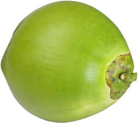 Coconut - Young, Husked 9ct case