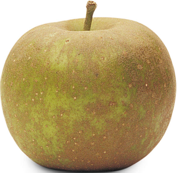 Apples - Russet 40lb